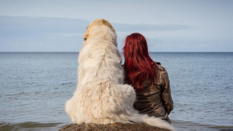 True Dog Love Is Built on Trust, Not Just Treats