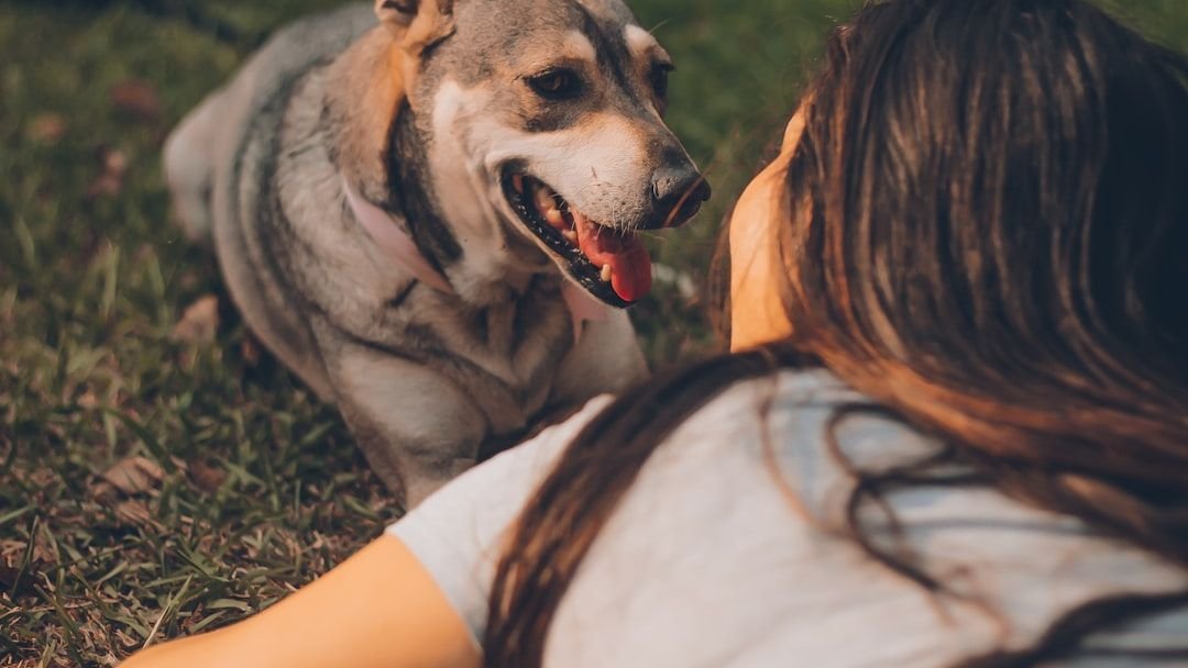 10 Easy Ways To Keep Your Dog Happy