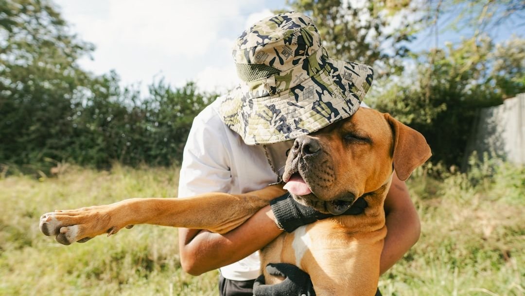 Rescue Dogs Bring the Most Joy: The Unconditional Love of Adoption