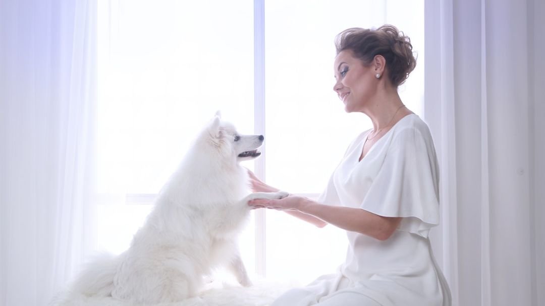 10 Owners That Love Staying By Their Dog’s Side