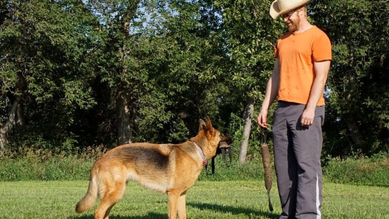 7 Surprising Ways Your Dog Shows They Trust You Completely