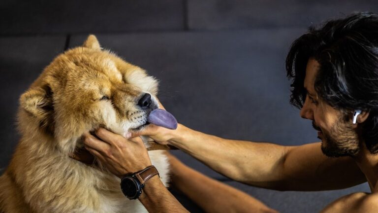 5 Health Habits You Can Start Today to Extend Your Dog's Life