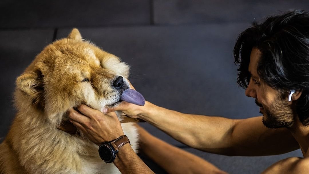 5 Health Habits You Can Start Today to Extend Your Dog’s Life