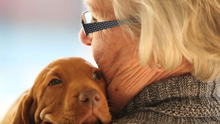 8 Dog Breeds Whose Emotional Intelligence Will Shock You