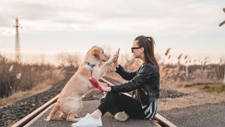 Why Some Dogs Are Natural Empaths (And Others Are More Independent)