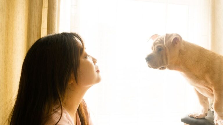 How Your Dog's Birth Month Shapes Their Unique Personality Traits