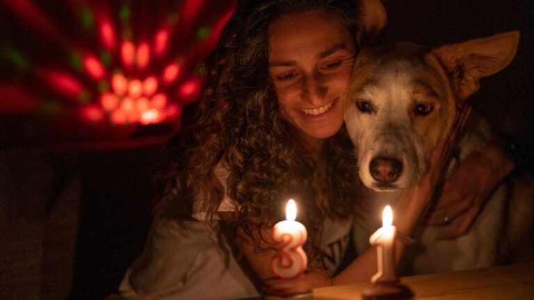 Why Your Dog's Birth Chart Holds Clues to Their Health and Happiness