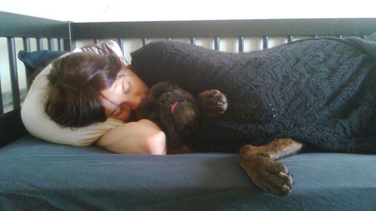 10 Common Dog Behaviors People Punish Which Are Actually Signs of Trust