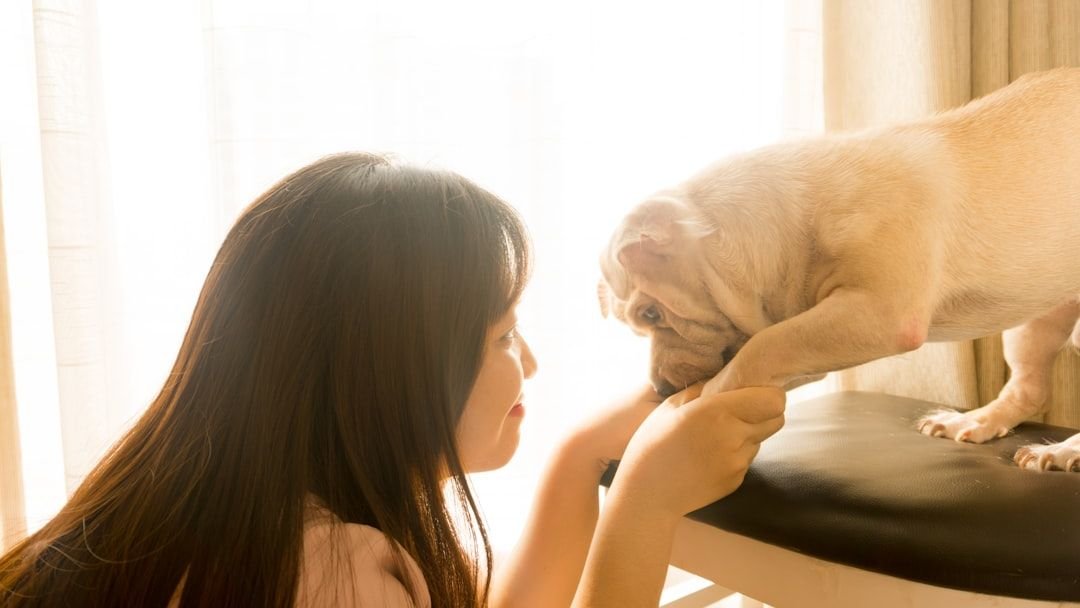 This is What Your Dog Thinks When You Die