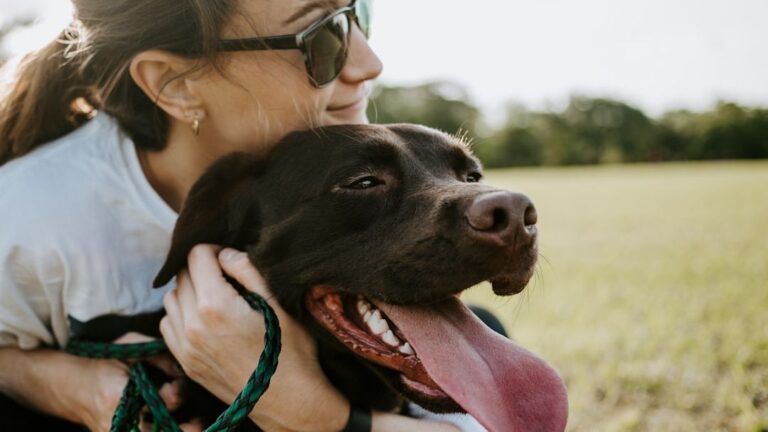 Why Your Dog Follows You Everywhere