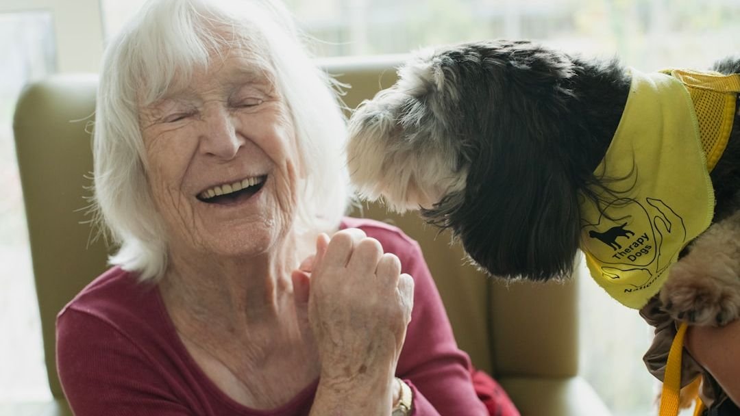 7 Dog Breeds That Excel as Service Animals for Seniors