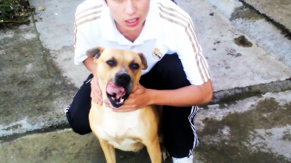 10 Surprising Ways Your Dog Communicates Its Love For You