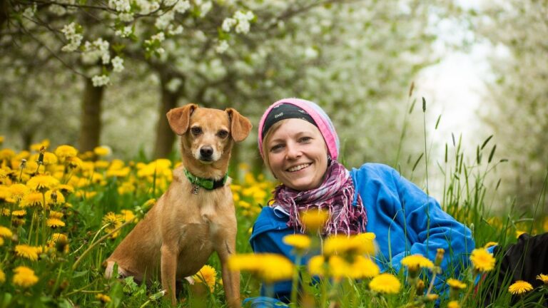 The Surprising Reason Some Dogs Prefer Humans Over Other Canines