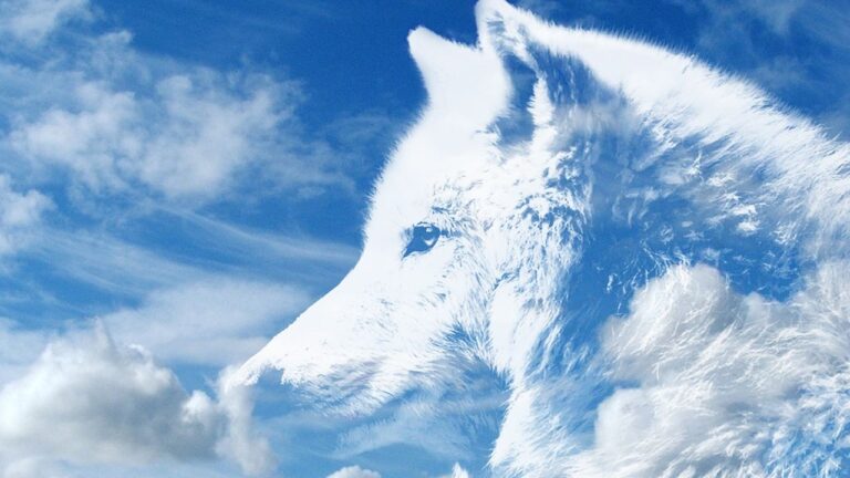What Does It Mean If You Dream About A Wolf According to Native American Culture