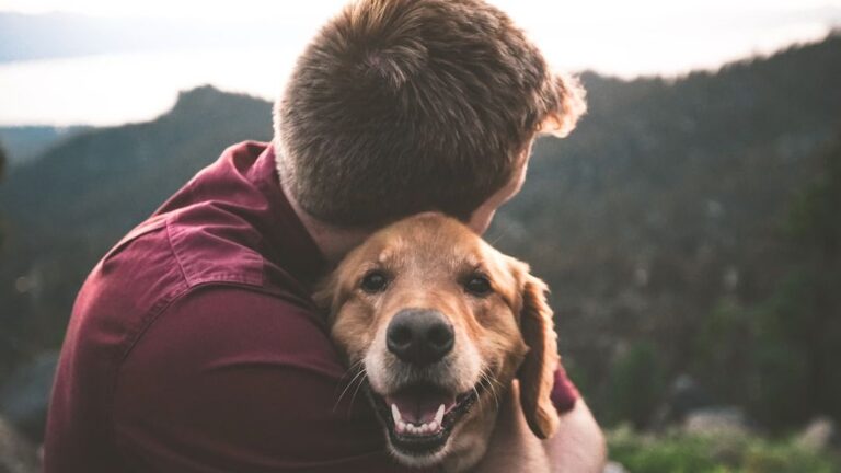 12 Dog Breeds for Divorced People That Can Help You Heal