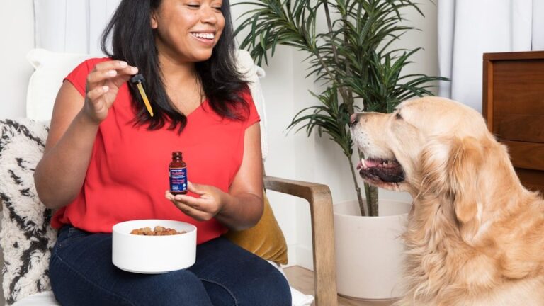10 Unexpected Ways Your Dog Helps Improve Your Mental Well-being Every Day