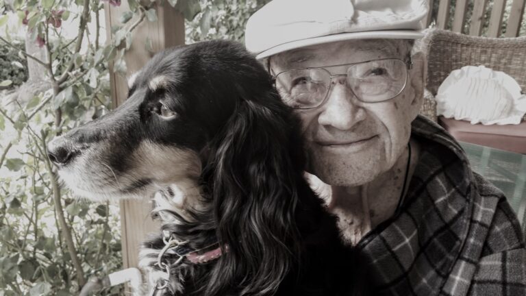 A Senior Dog's Quiet Companionship Is a Treasure Beyond Measure