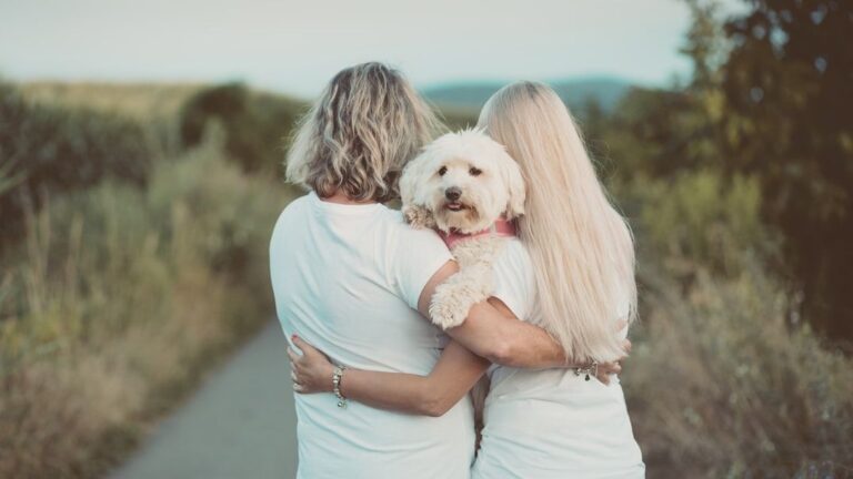 Can Your Dog Really Sense Your Mood? The Empathic Power of Our Canine Friends