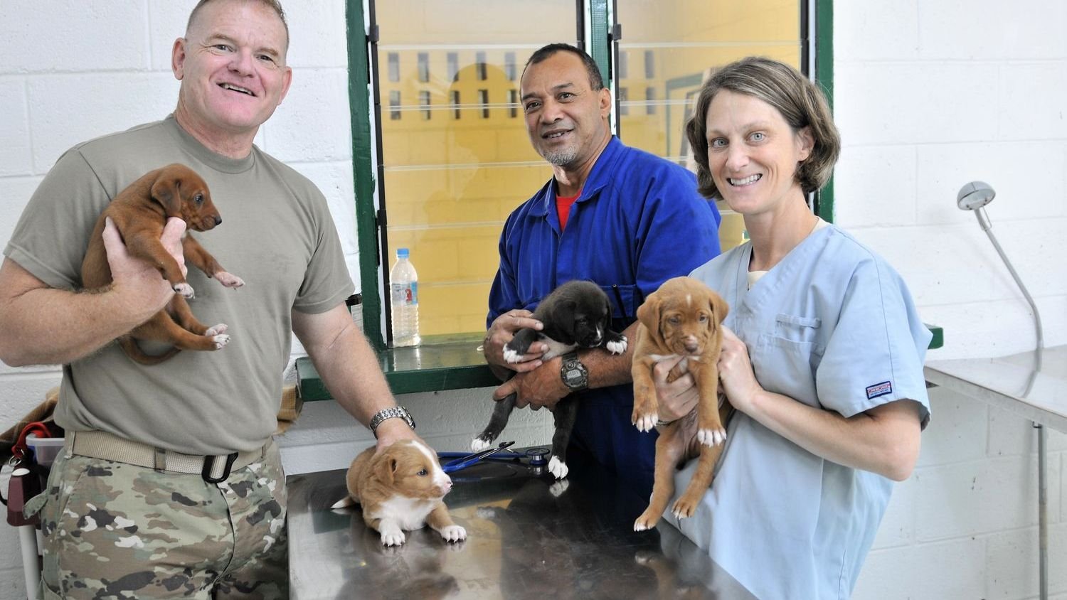 8 Mistakes People Make When Caring For Newborn Puppies