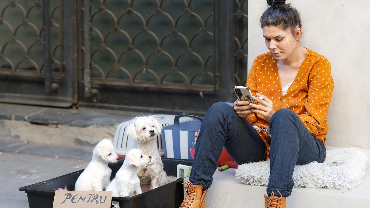 Why You Should Never Adopt a Shelter Dog Without Knowing These 10 Things