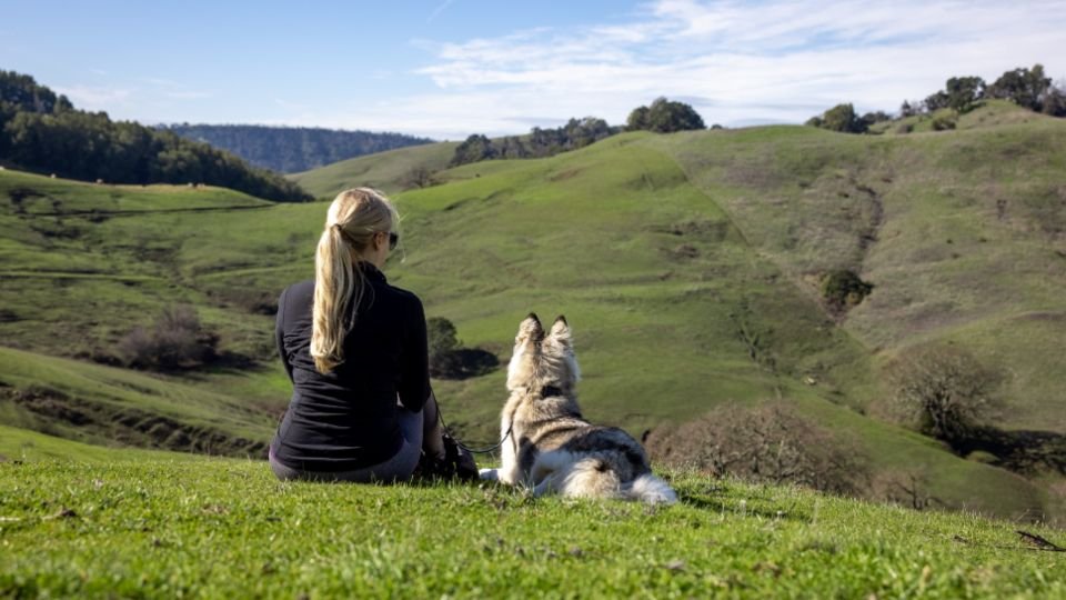 10 Zodiac Signs and the Dog Breeds That Feel Like Soulmates to Them