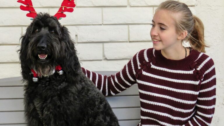 8 Surprising Benefits of Adopting an Older Dog (You'll Wish You Knew Sooner)