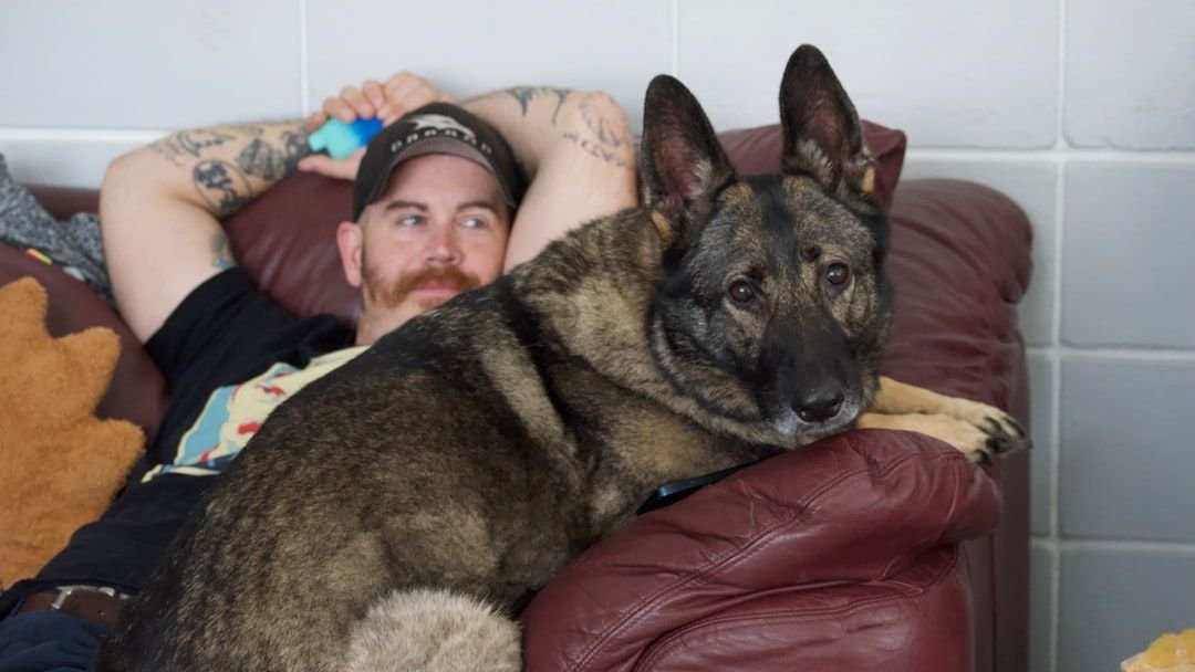 The Gentle Giant: Why Big Dogs Make the Best Lap Warmers