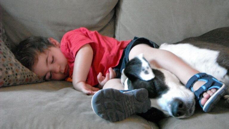 Why The Pit Bull Makes a Good Nanny Dog Despite Its Negative Reputation