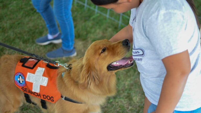 Your Dog's Nose is a Superpower: Incredible Scents They Detect