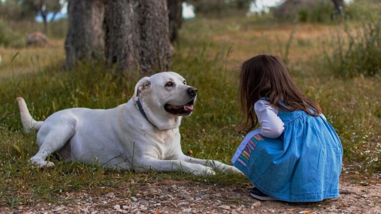 10 Common Dog Fears You Might Not Know About (And How to Help)
