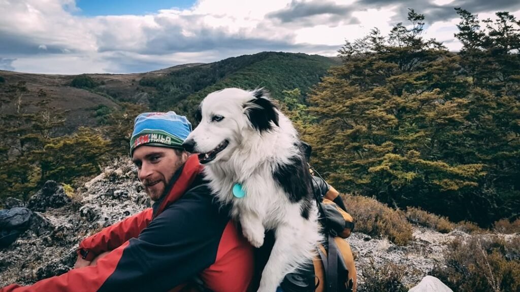 10 Things Dogs Miss the Most When You're Not Home