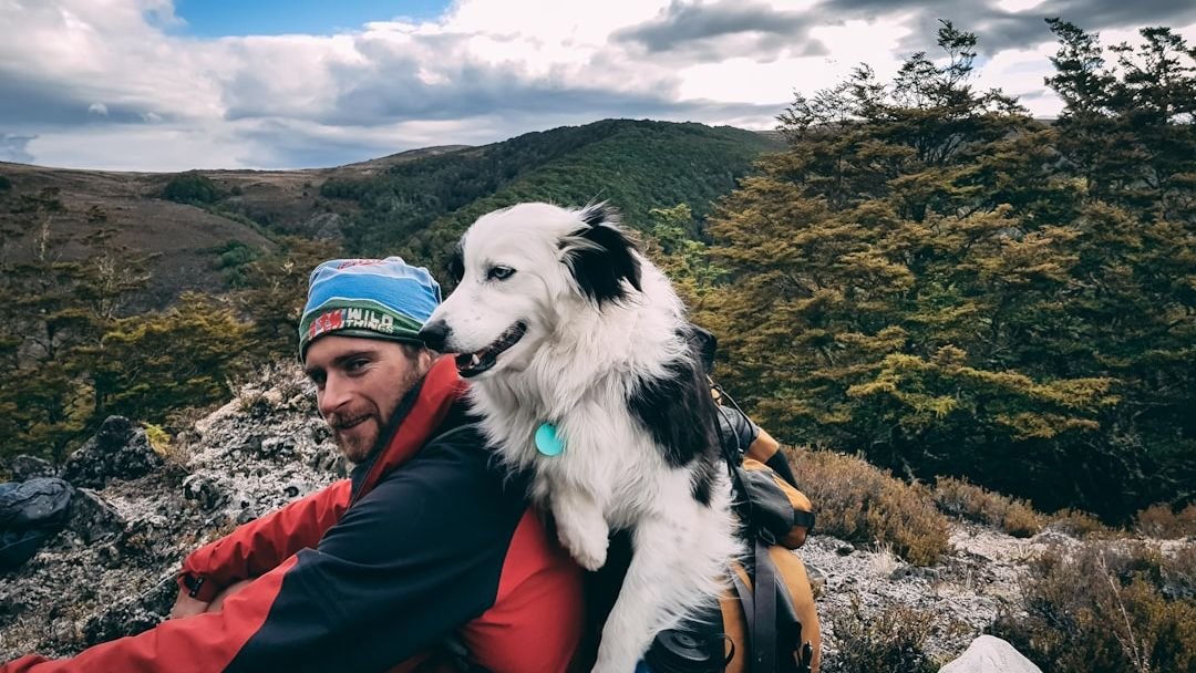 10 Things Dogs Miss the Most When You’re Not Home