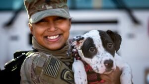 10 Emotional Moments Dogs Remember Long After They Happen