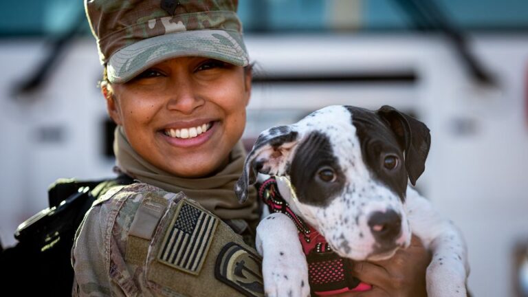 10 Emotional Moments Dogs Remember Long After They Happen