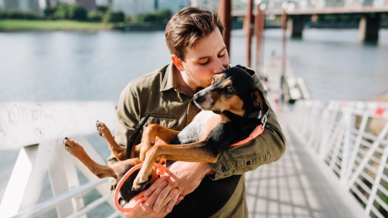 8 Dog Breeds That Hate Hugs (And 8 That Cannot Do Without Them)
