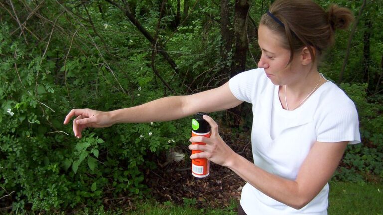 Scents That Drive Ticks Out of Carpets Without Harming Dogs