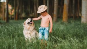 10 Signs Your Shelter Dog Has Begun Feeling Safe Around You