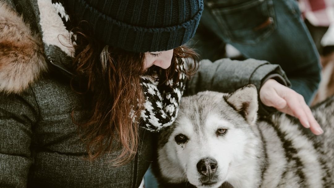 11 Things Dogs Do Differently When They Feel Deeply Loved