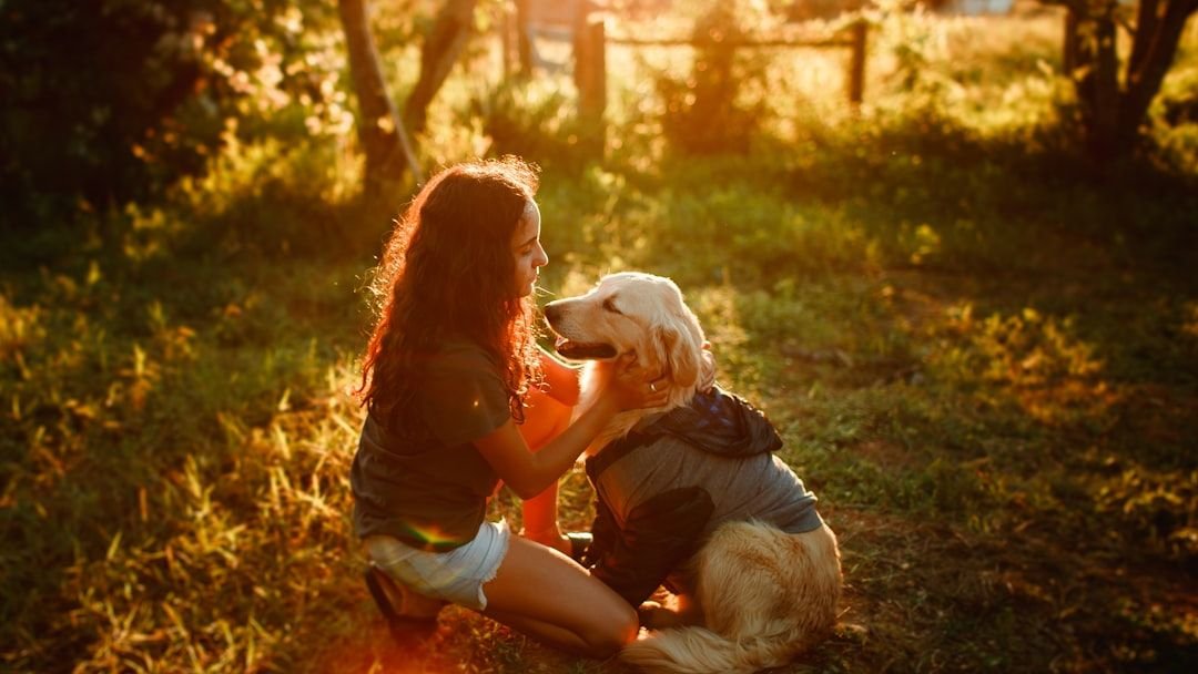 9 Emotional Lessons Dogs Teach Without Ever Trying