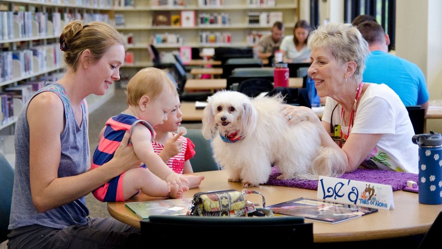 10 Dog Breeds That Excel at Being Therapy Dogs for Seniors