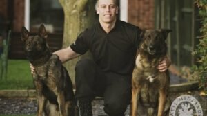 8 Signs Your Dog Is Adapting Its Personality to Match Yours