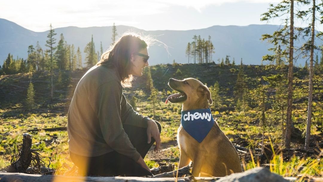 9 Ways Dogs Change Their Behavior When They Fully Trust a Human