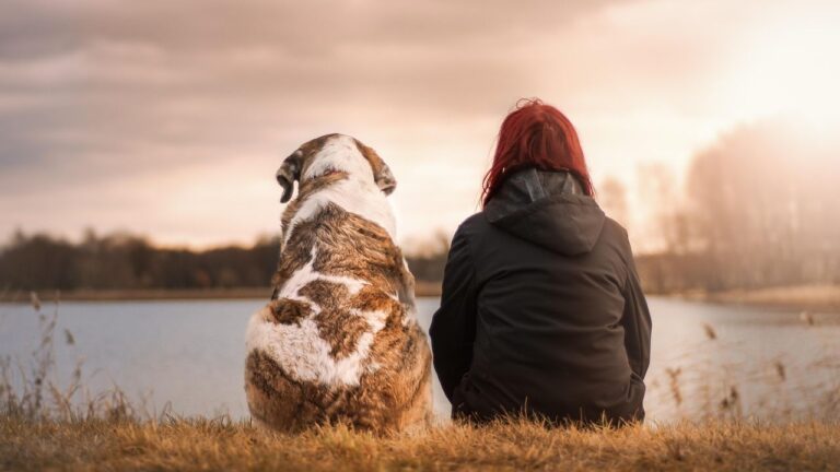 Does Your Dog Know When You're Having a Bad Day? Science Says Yes