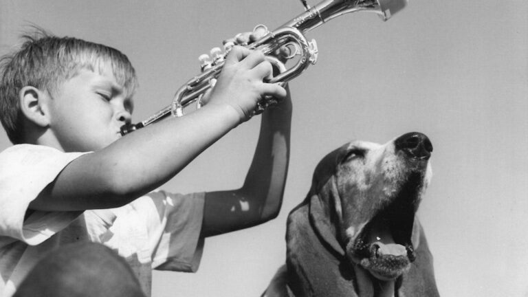 10 Dog Breeds Whose Barking Can Drive Your Neighbors Crazy