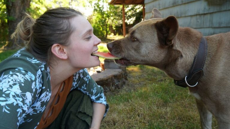 10 Dog Breeds That Love To Slobber You With Kisses