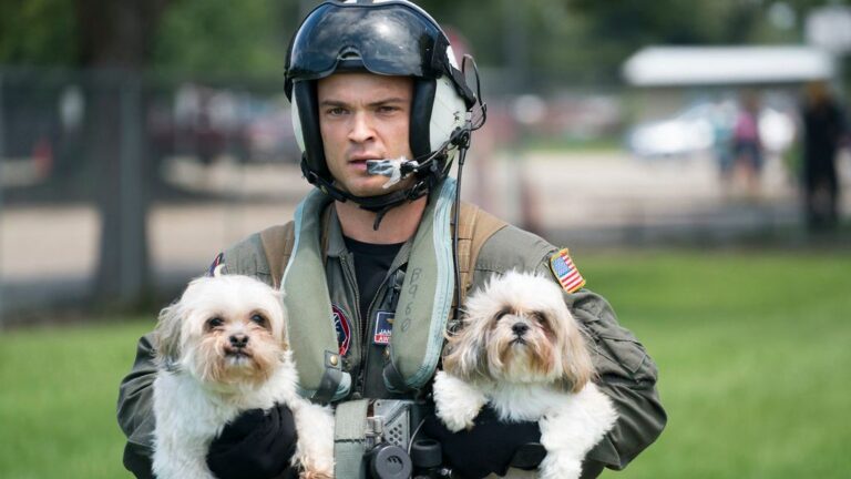 5 Emergency Preparedness Tips Every Dog Owner Needs to Know