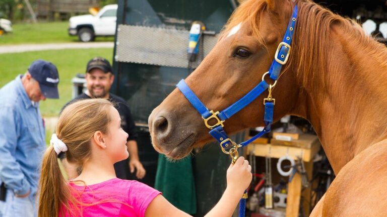 Understanding Your Horse's Whinnies: 8 Reasons Why Your Horse Might Be Acting Anxious (And How to Help)