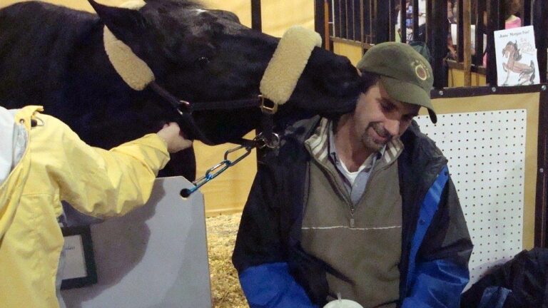 Why Does My Horse Nuzzle Me? Decoded: Signs of Affection and Trust