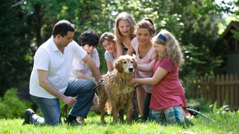 Why Big Dogs Are More Affectionate Than Small Dogs