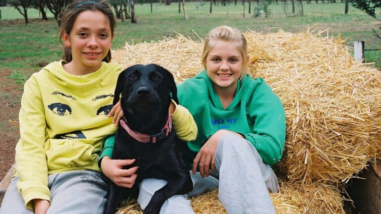 10 Dogs That Take Forever to Trust - and 5 That Attach Instantly